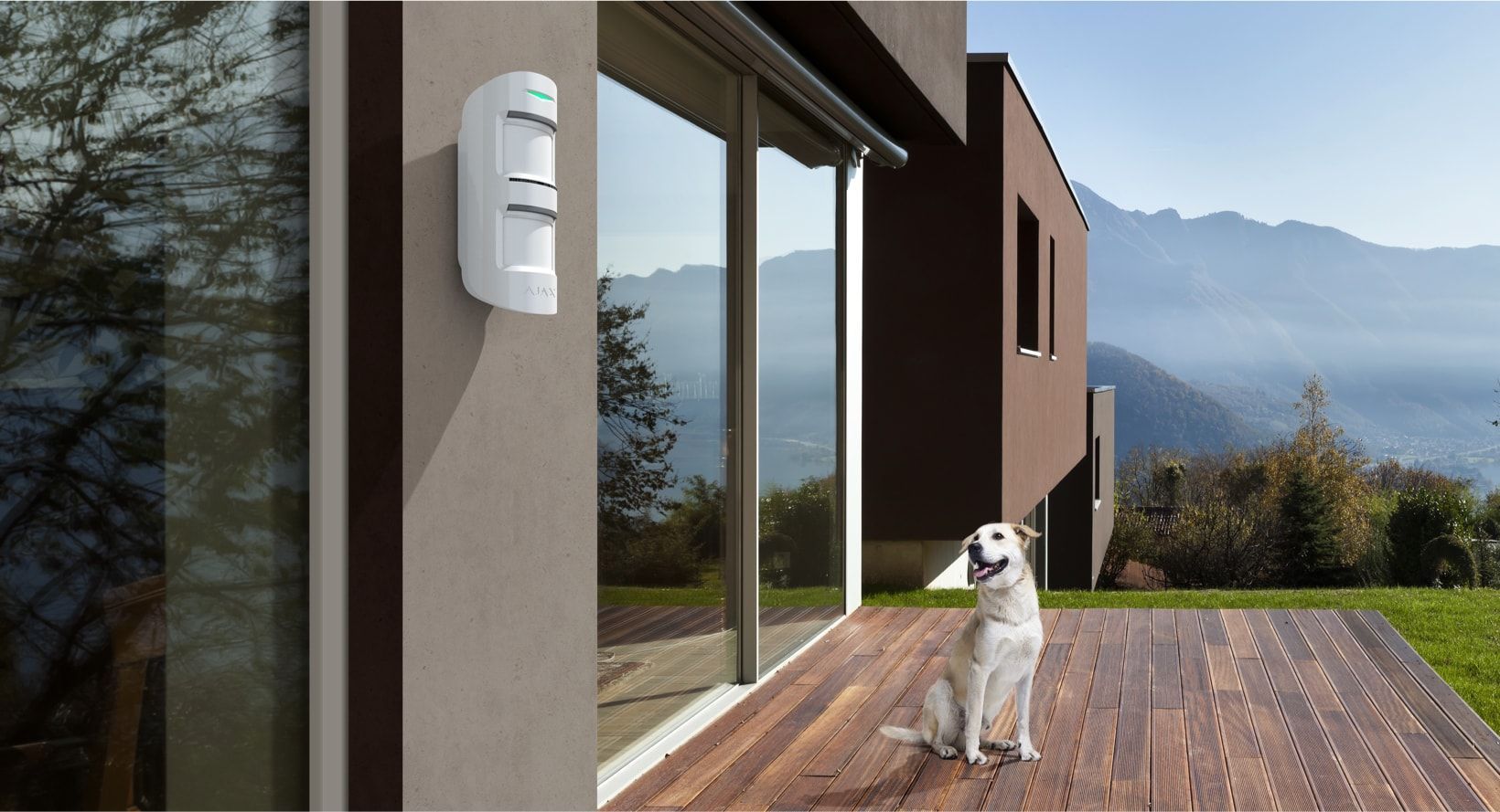 White dog sitting on a wooden deck, overlooking mountains; a security sensor is mounted on the wall.