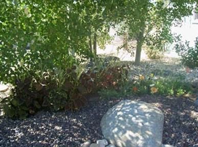 A rock in the middle of a garden with trees in the background.