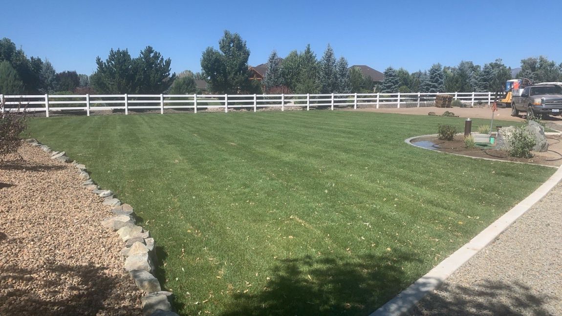 A row of houses sitting next to each other on a lush green lawn.