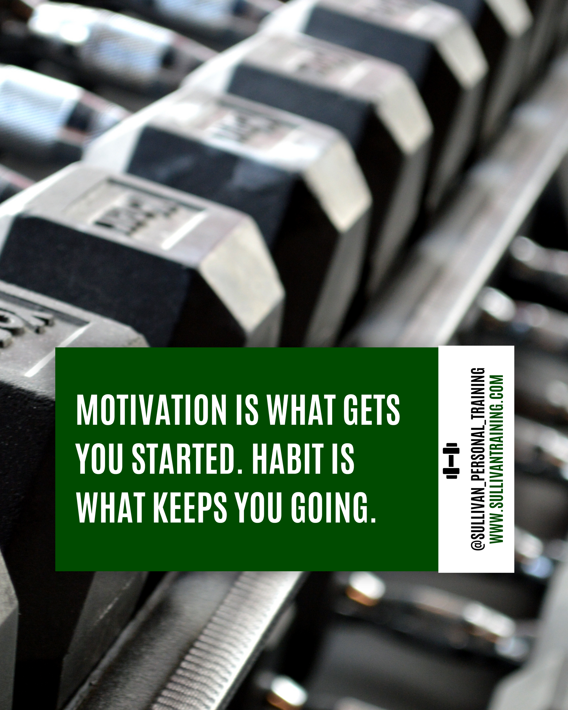 Green quote graphic over dumbbells: “Motivation is what gets you started. Habit is what keeps you going.”
