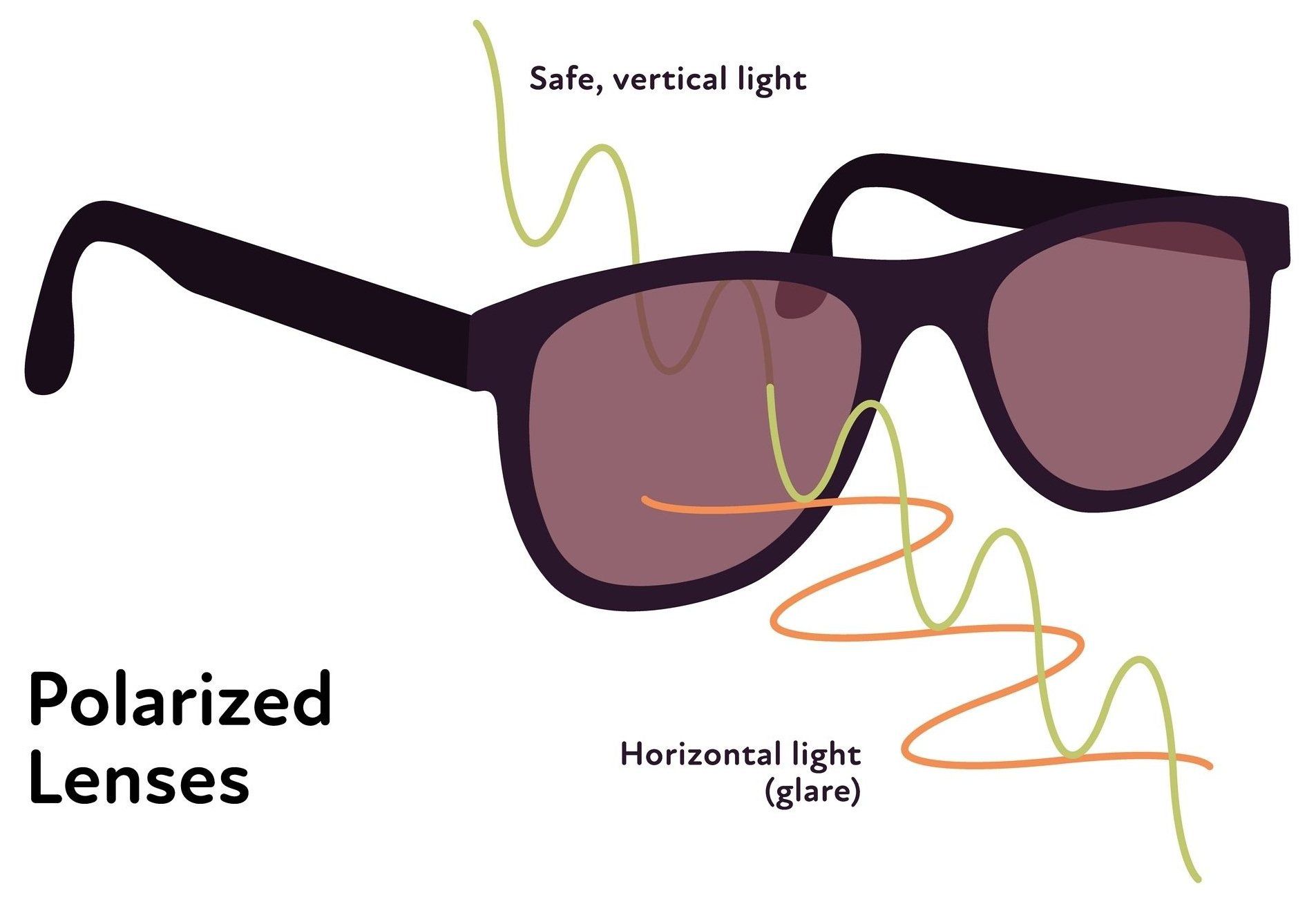 Polarized lenses