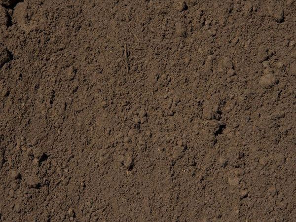Topsoil