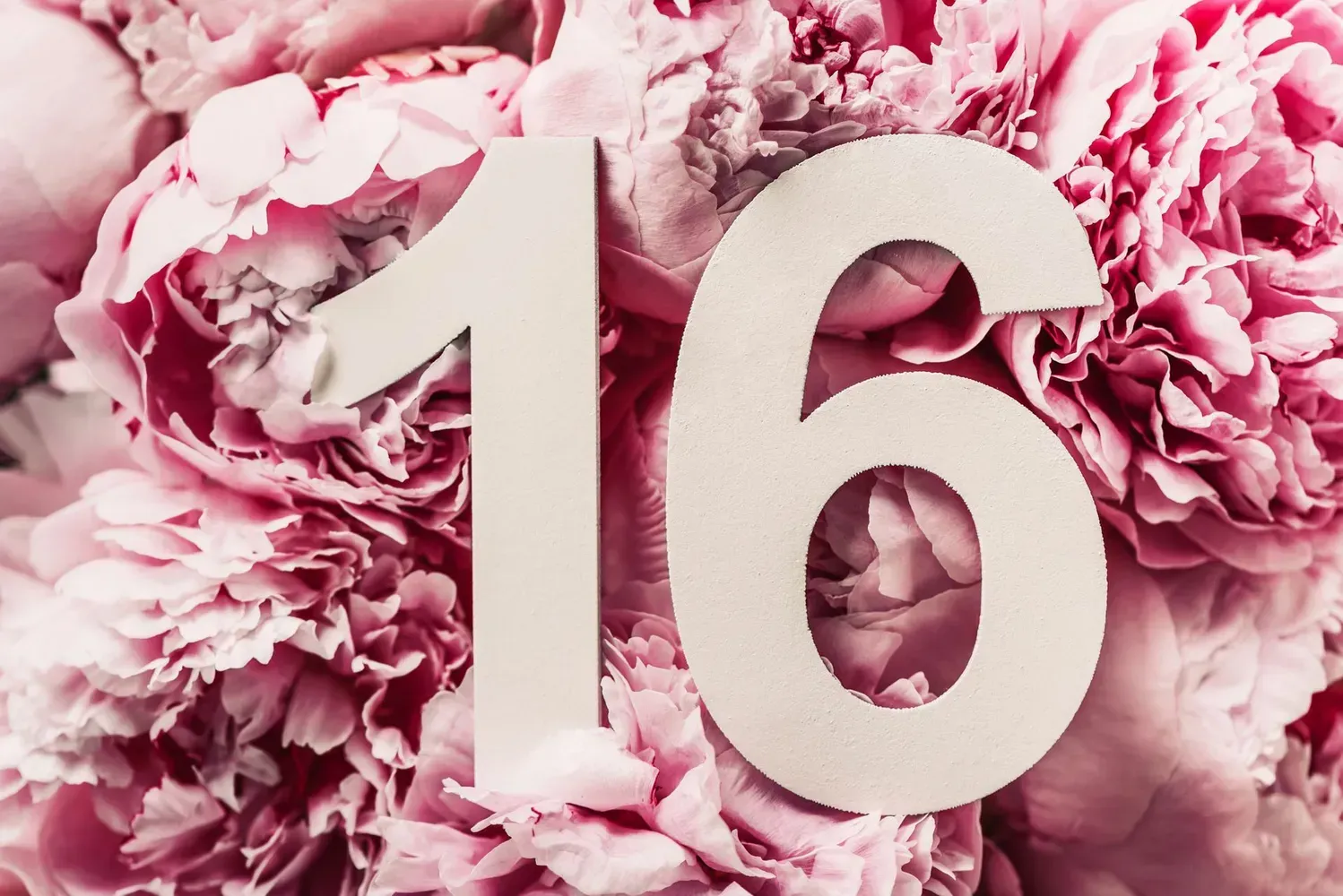 The number 16 in a large, light-colored font set against a background of blooming pink peonies.