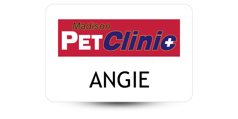 personalized veterinary clinic name tag