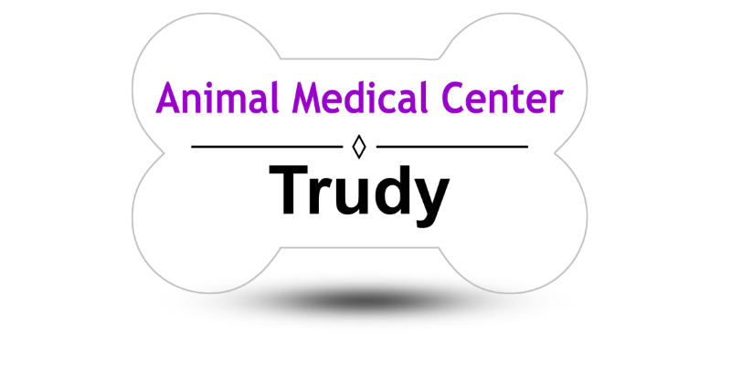 bone-shaped vet name badge