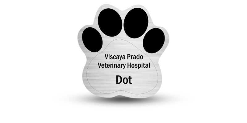 Paw-shaped name badge