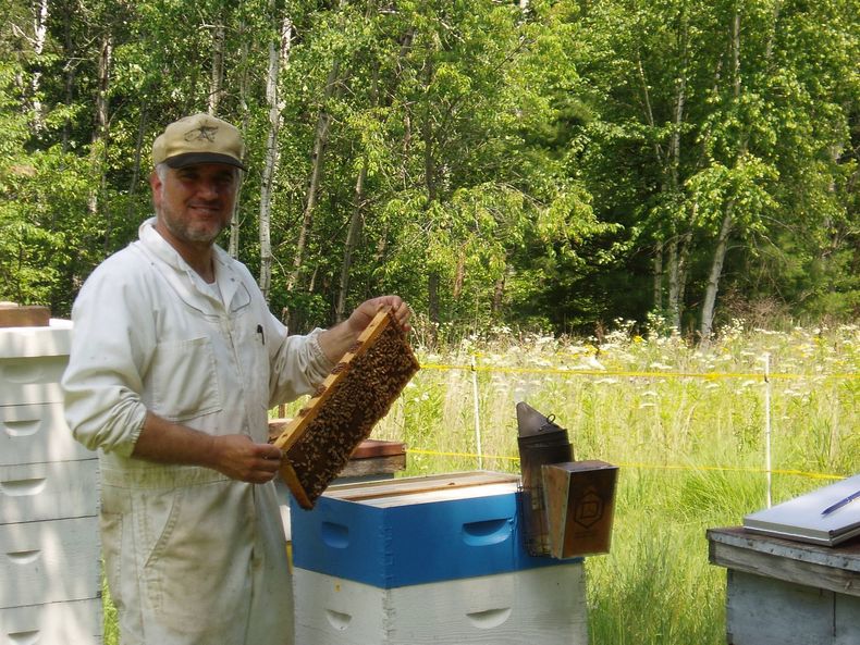 Beekeeper in white suit holding a honeycomb beside blue beehives in a sunny field