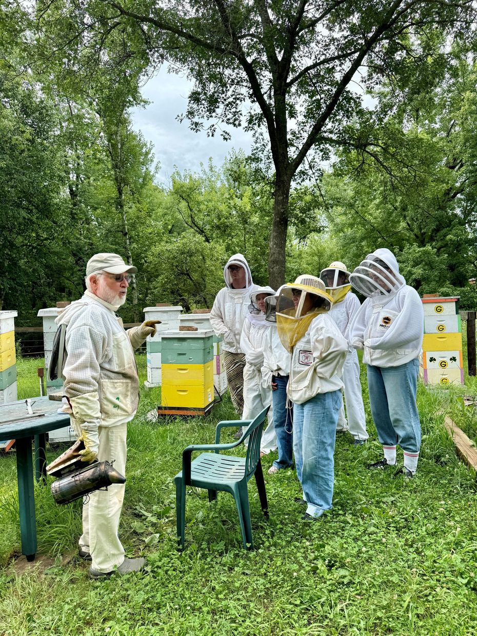 People in beekeeping suits inspect colorful beehives in a grassy orchard.