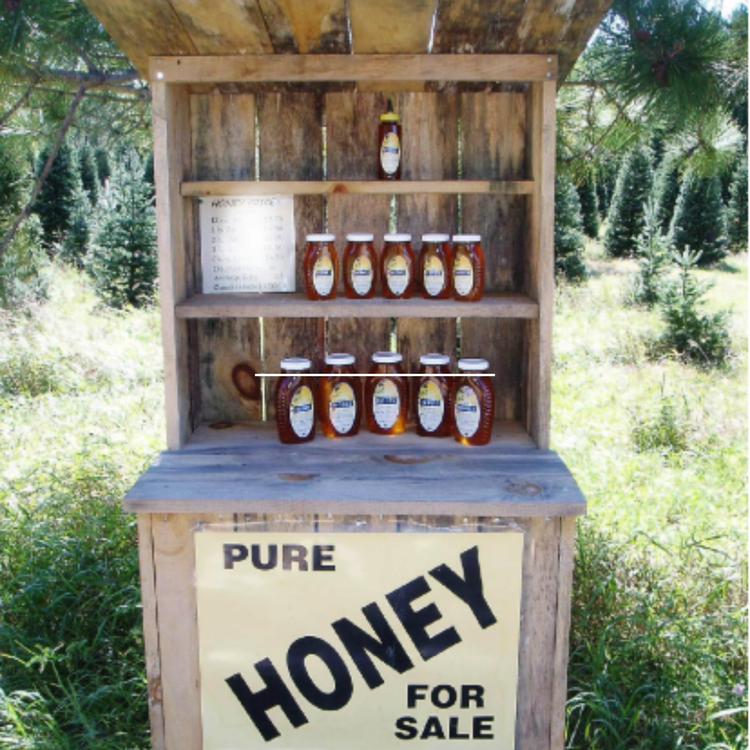Bees swarming at the entrance of a wooden beehive with a tray below