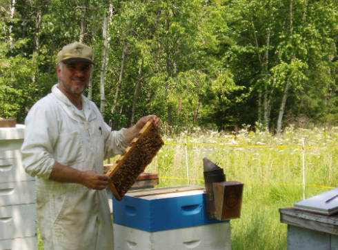 Two beekeepers in protective suits inspect a honeycomb frame beside an open hive outdoors.