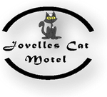 Cat Motel In Toowoomba Cat Motel In Toowoomba