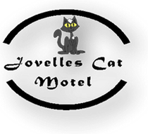 Cat Motel In Toowoomba Cat Motel In Toowoomba