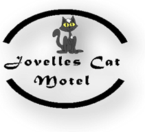 Cat Motel In Toowoomba Cat Motel In Toowoomba