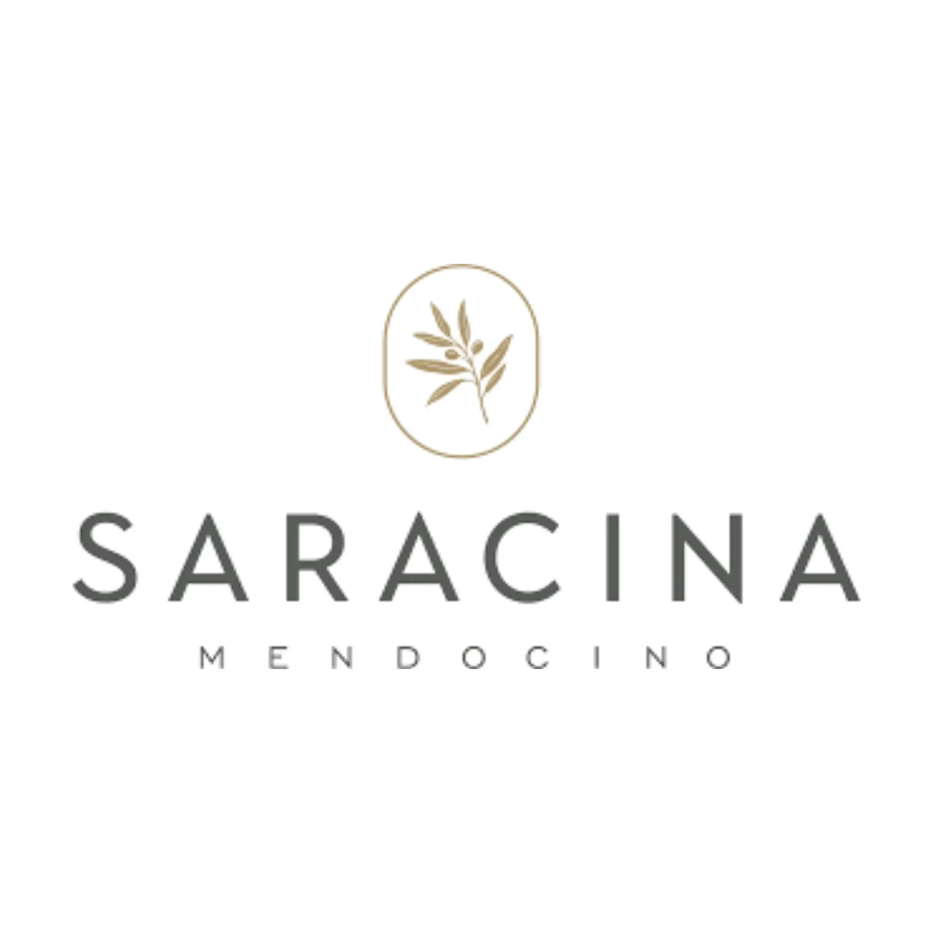 Saracina Mendocino logo with gold olive branch emblem on a white background