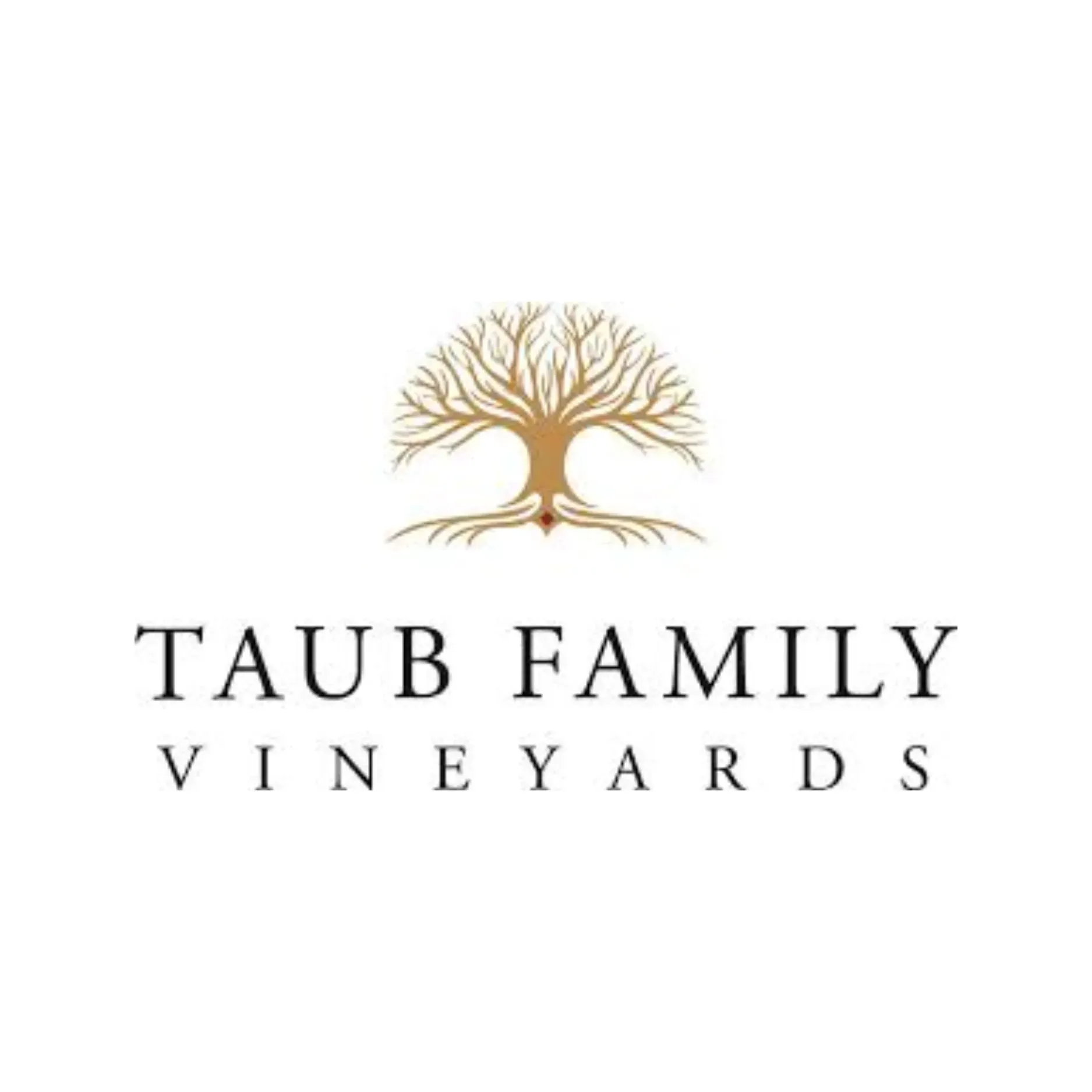 Taub Family Vineyards logo with gold tree above black serif text on white background