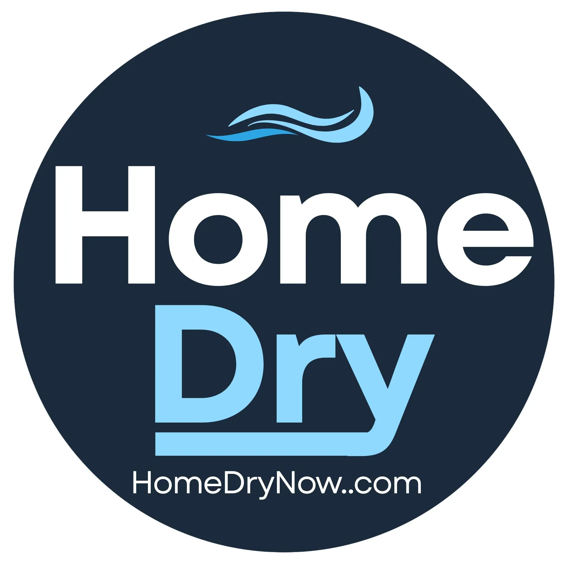 HomeDry logo in white and blue on a dark navy rectangle with wave lines above the “y”