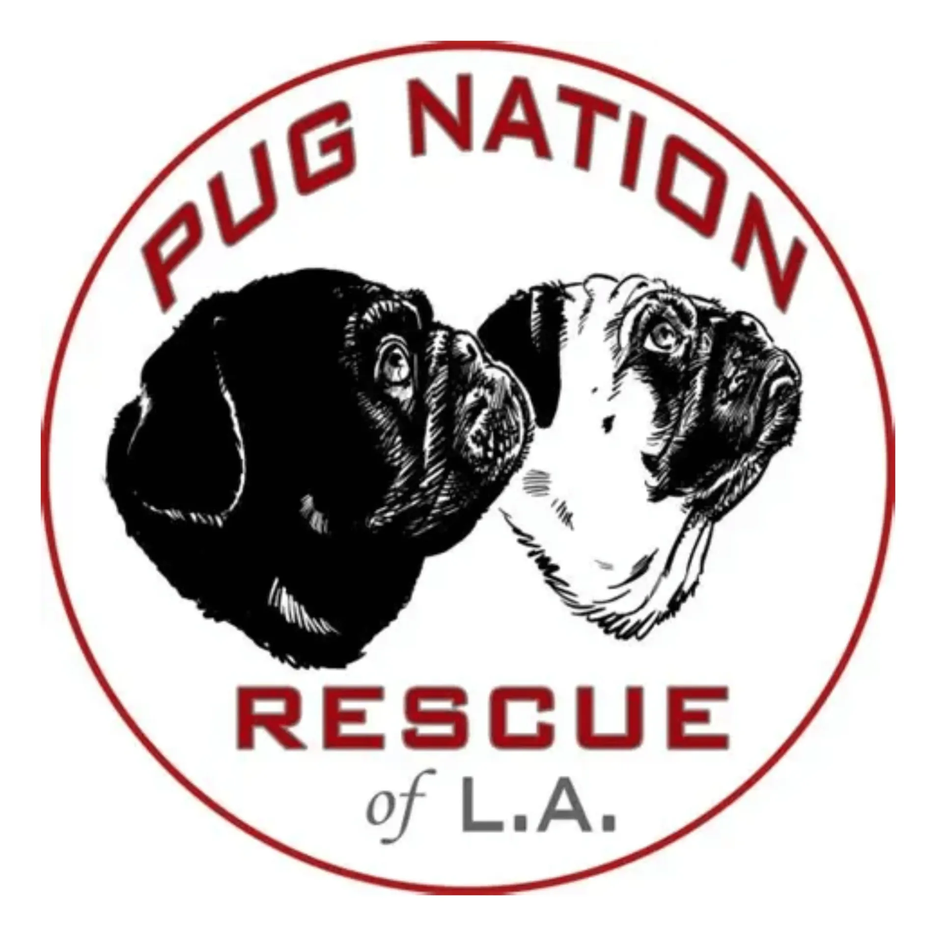 Pug Nation