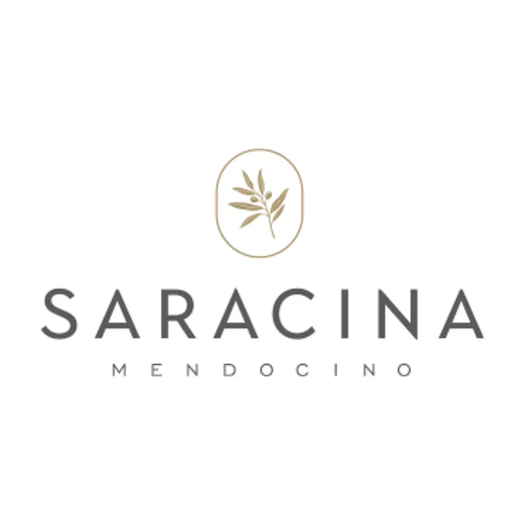 Saracina Mendocino logo with gold olive branch emblem on a white background