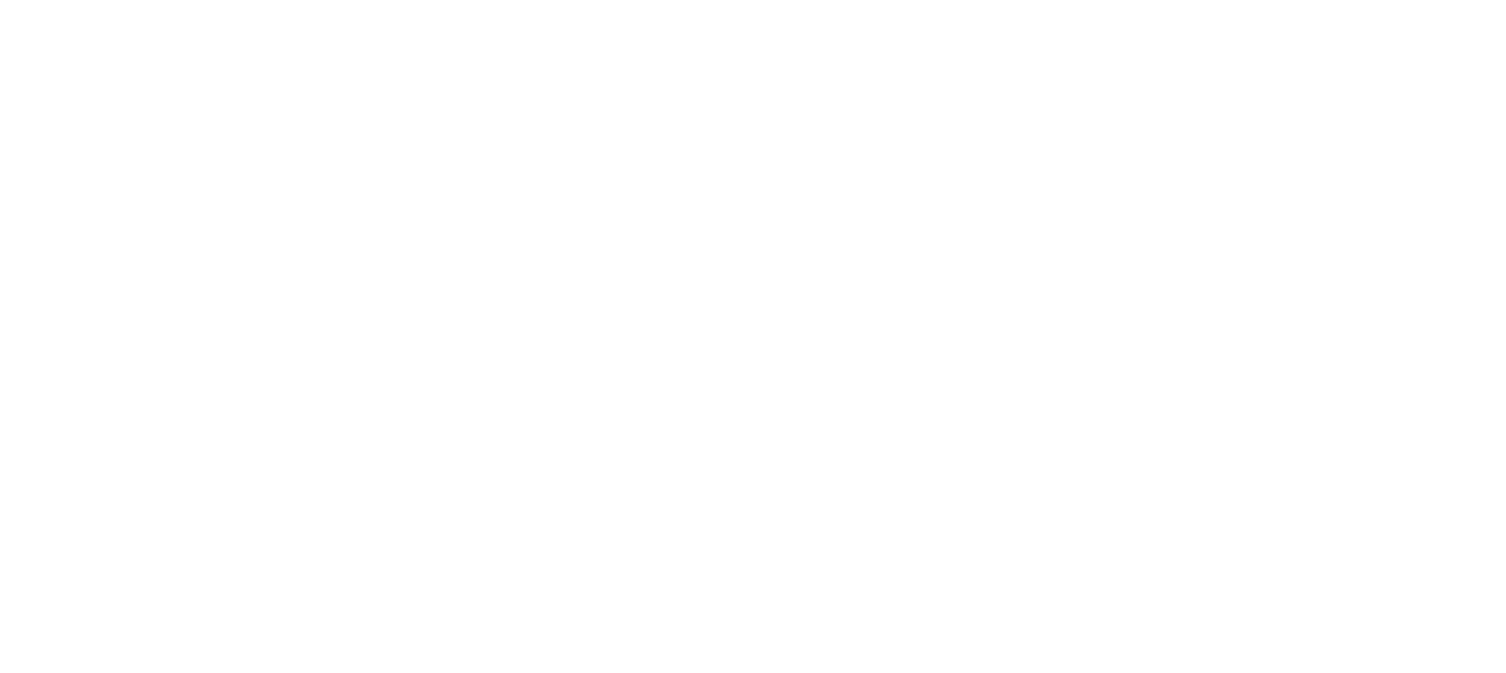 Rectángulo blanco liso con una fina línea gris cerca del borde inferior.