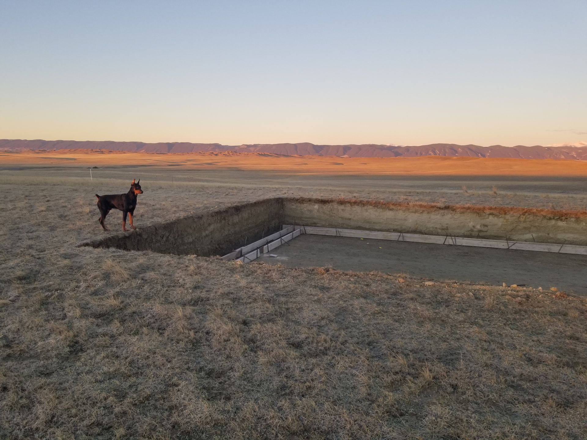 Dog and person on a grassy hill overlooking a sunset-lit valley and distant mountains