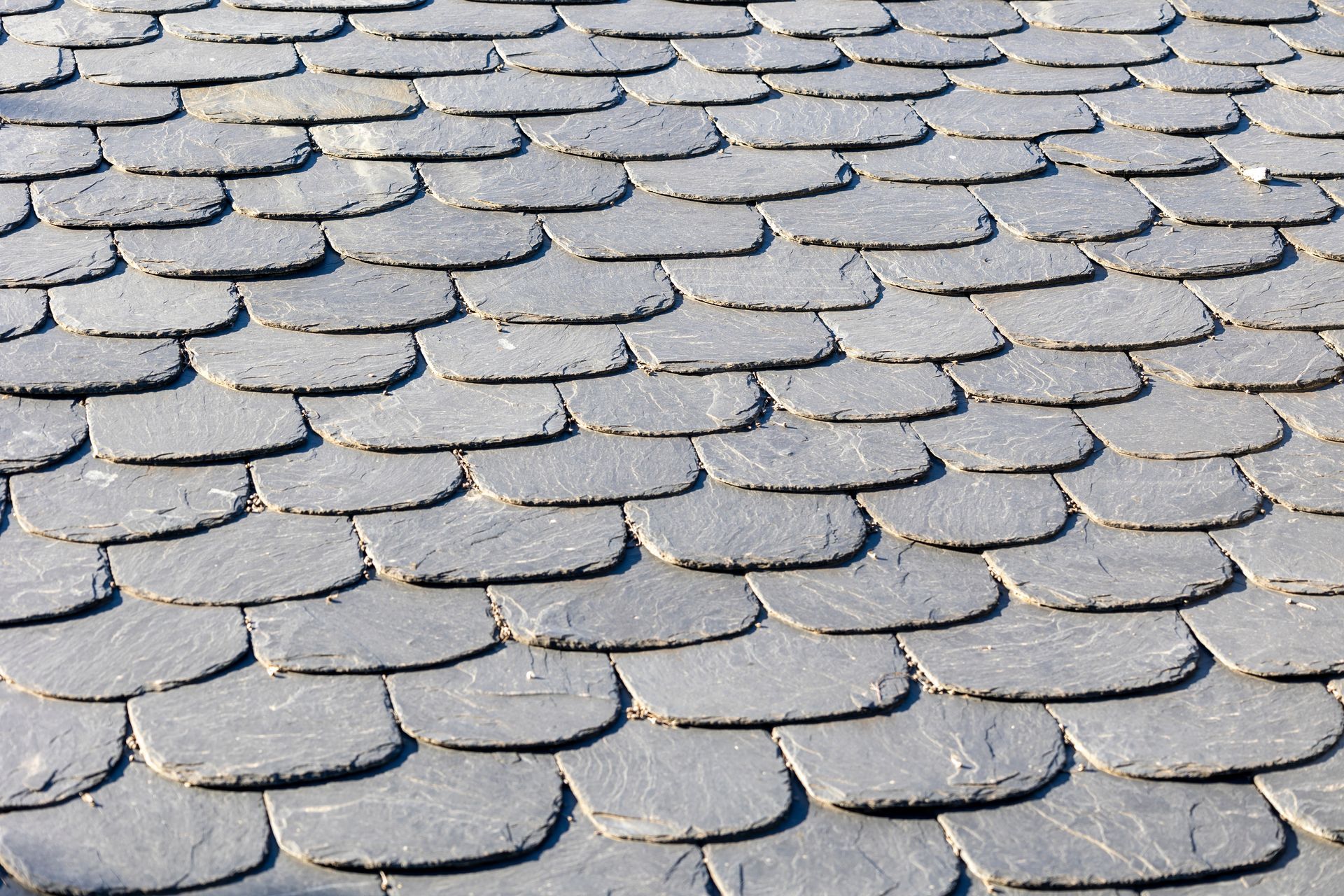 Gray slate roof tiles arranged in overlapping rows and lit by sunlight