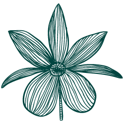 Adorable Flower Icon