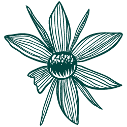 Flower Icon