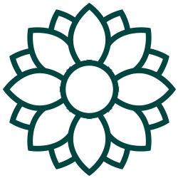 Beautiful Flower Icon Beautiful Flower Icon