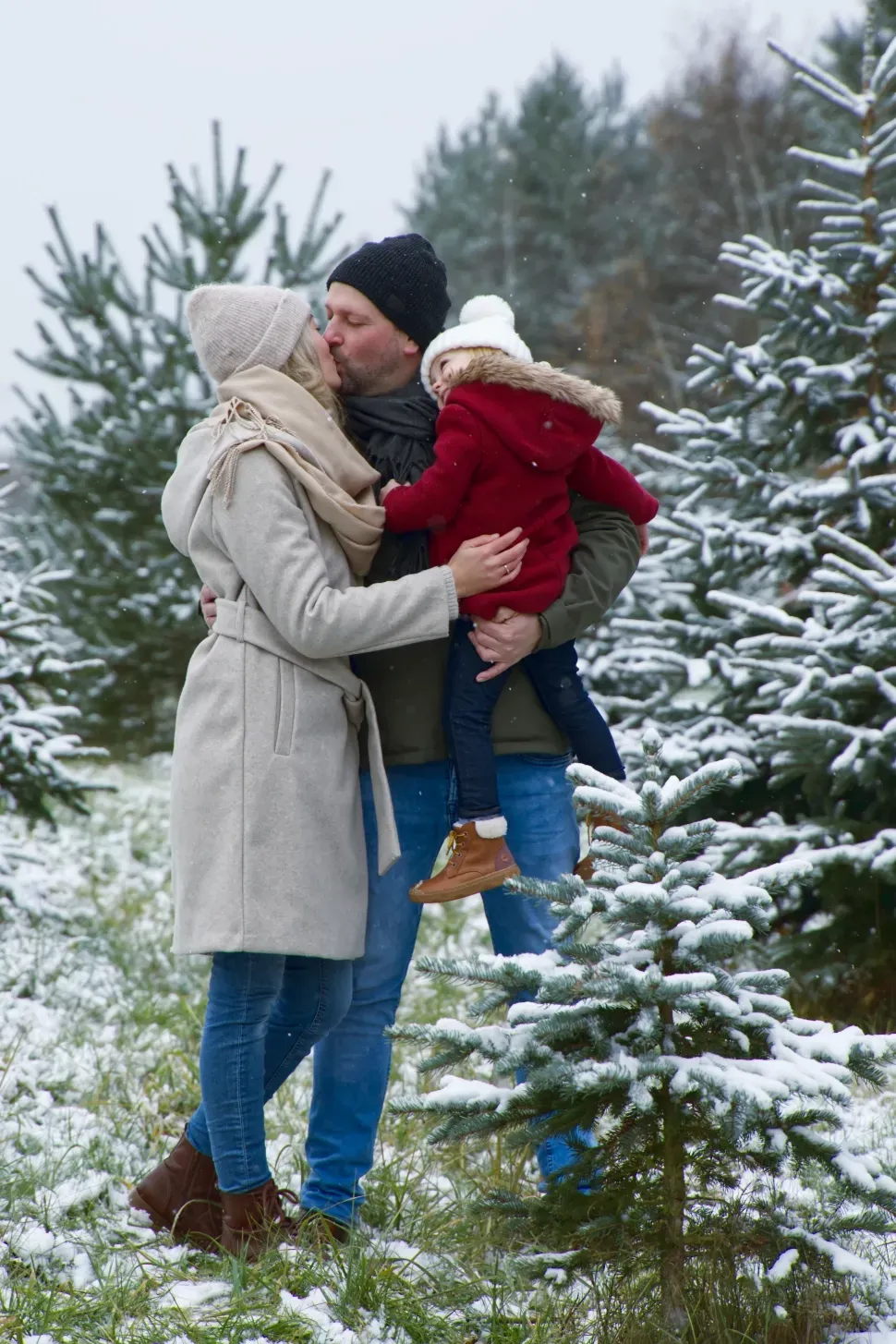 Paare und Familien
