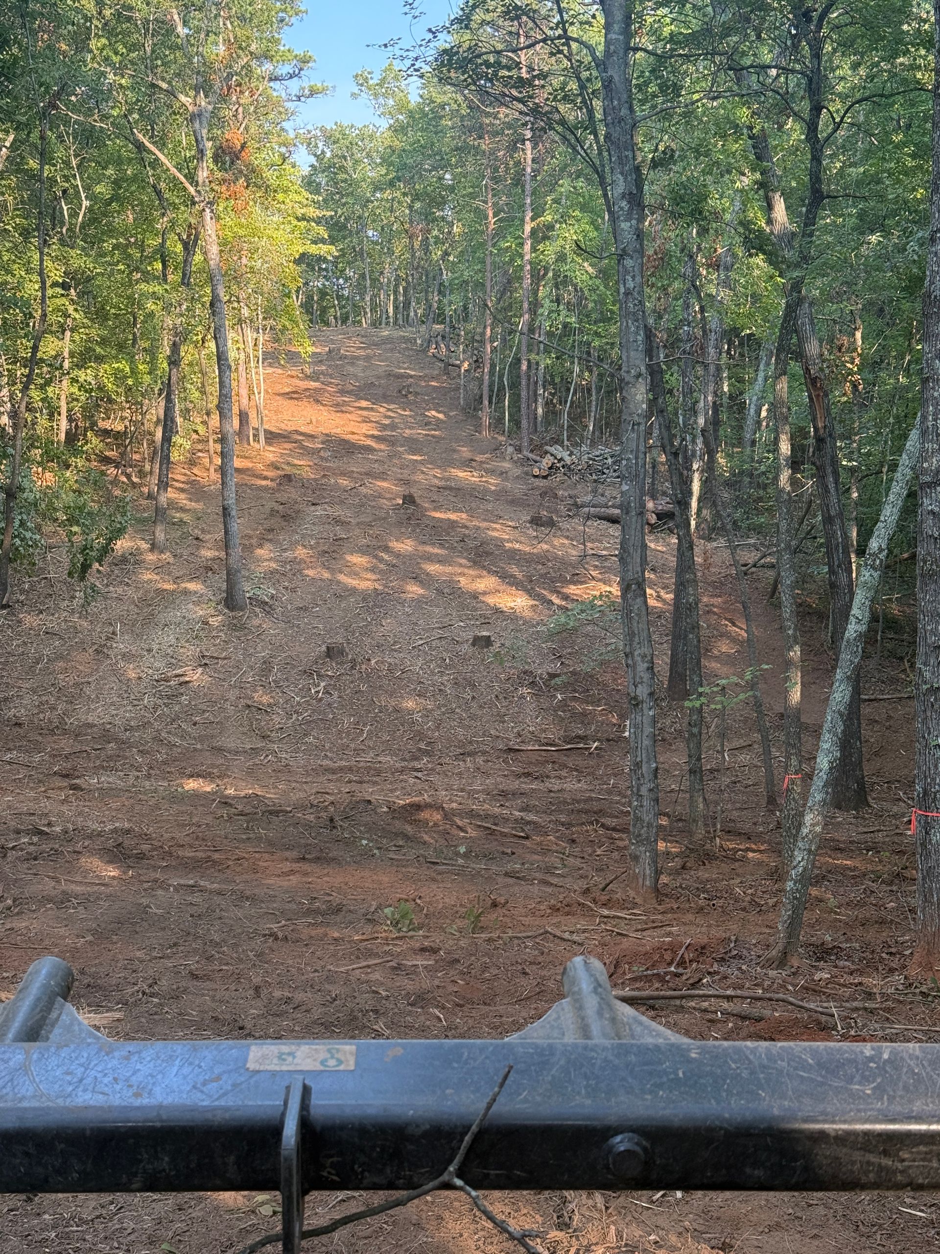 Wooded trail with a steep dirt path, bordered by trees and a metal rail in the foreground.