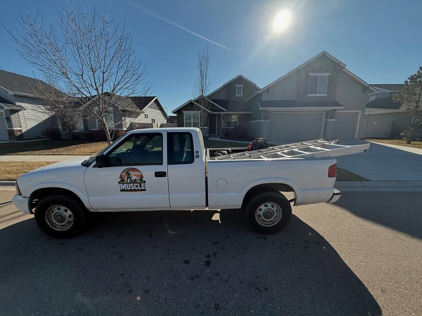 White pickup truck parked on a suburban street in bright sunlight