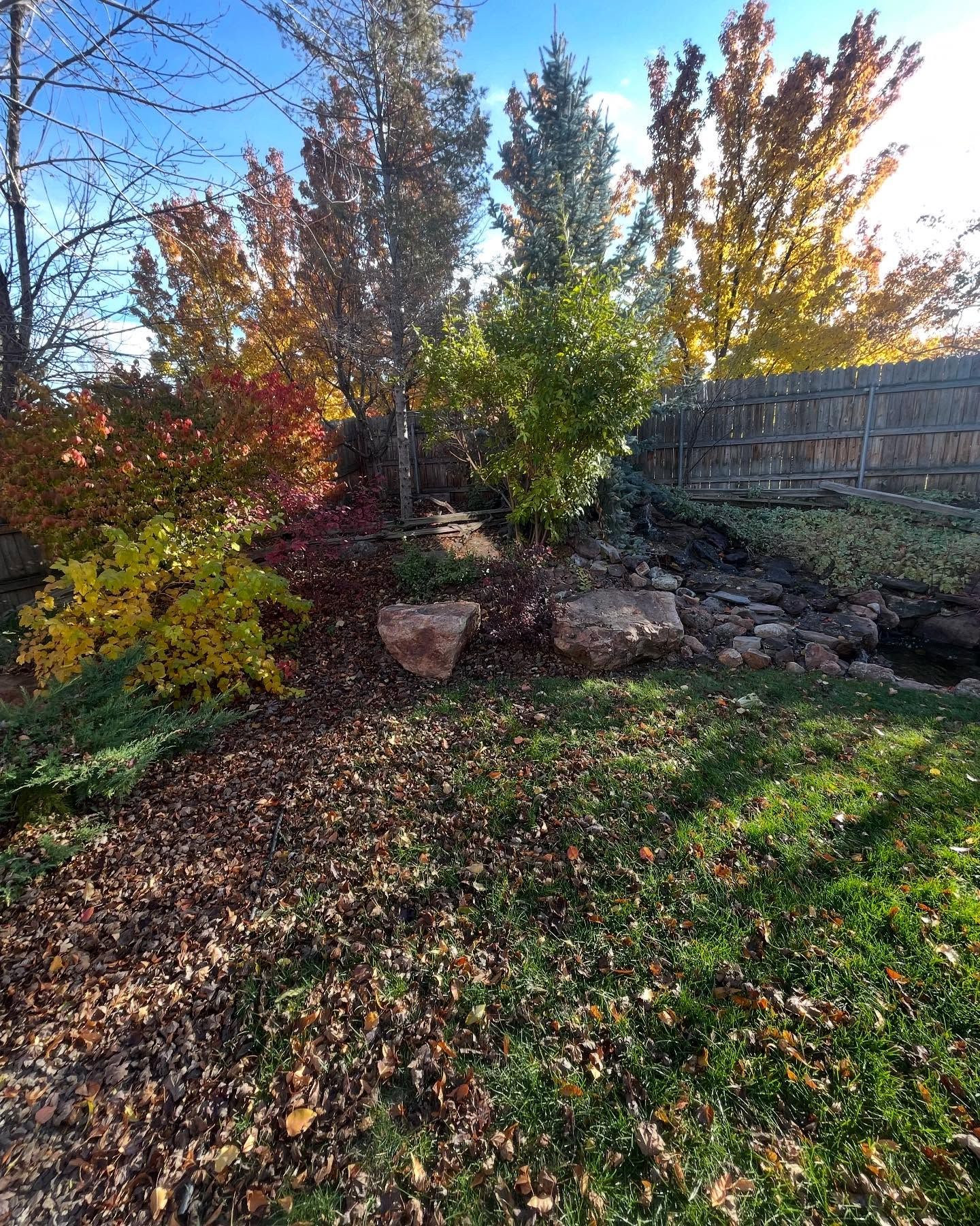 Sunlit backyard garden with colorful autumn shrubs, trees, and a wooden fence
