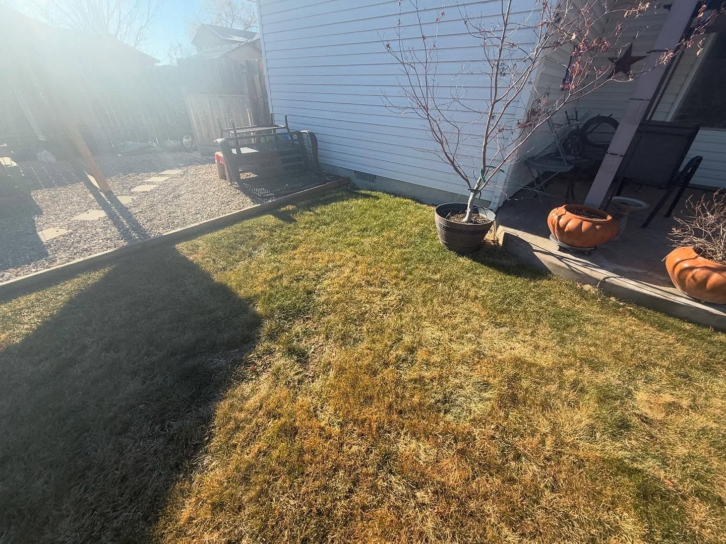 Sunny backyard with patchy grass, potted plants by a patio, and pumpkins near the house.