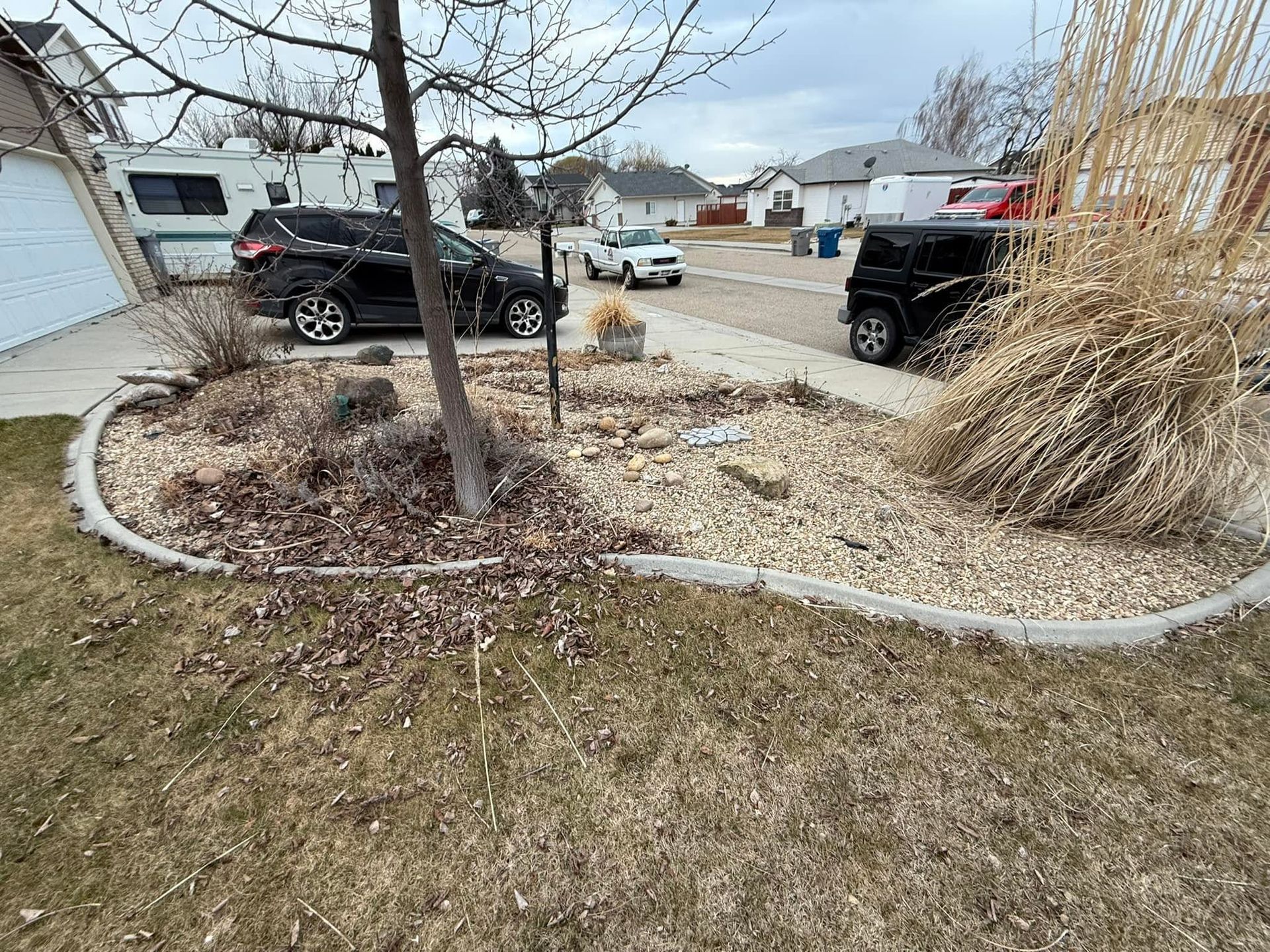 Front yard with a small tree, decorative grasses, and two parked black SUVs along a suburban street.