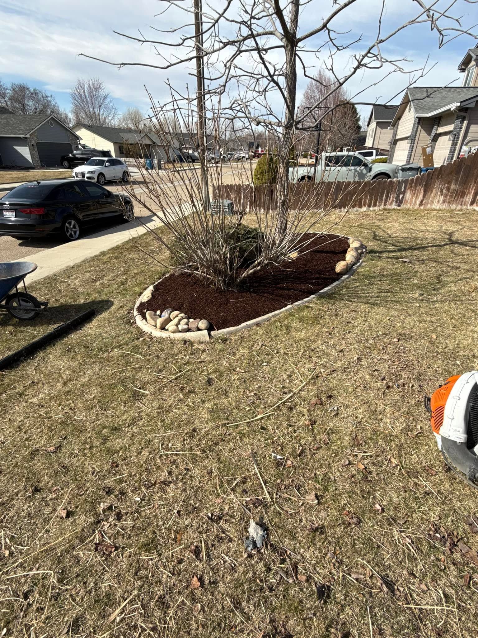 Front yard with a leafless shrub in a stone border, grass lawn, and parked cars on a suburban street.