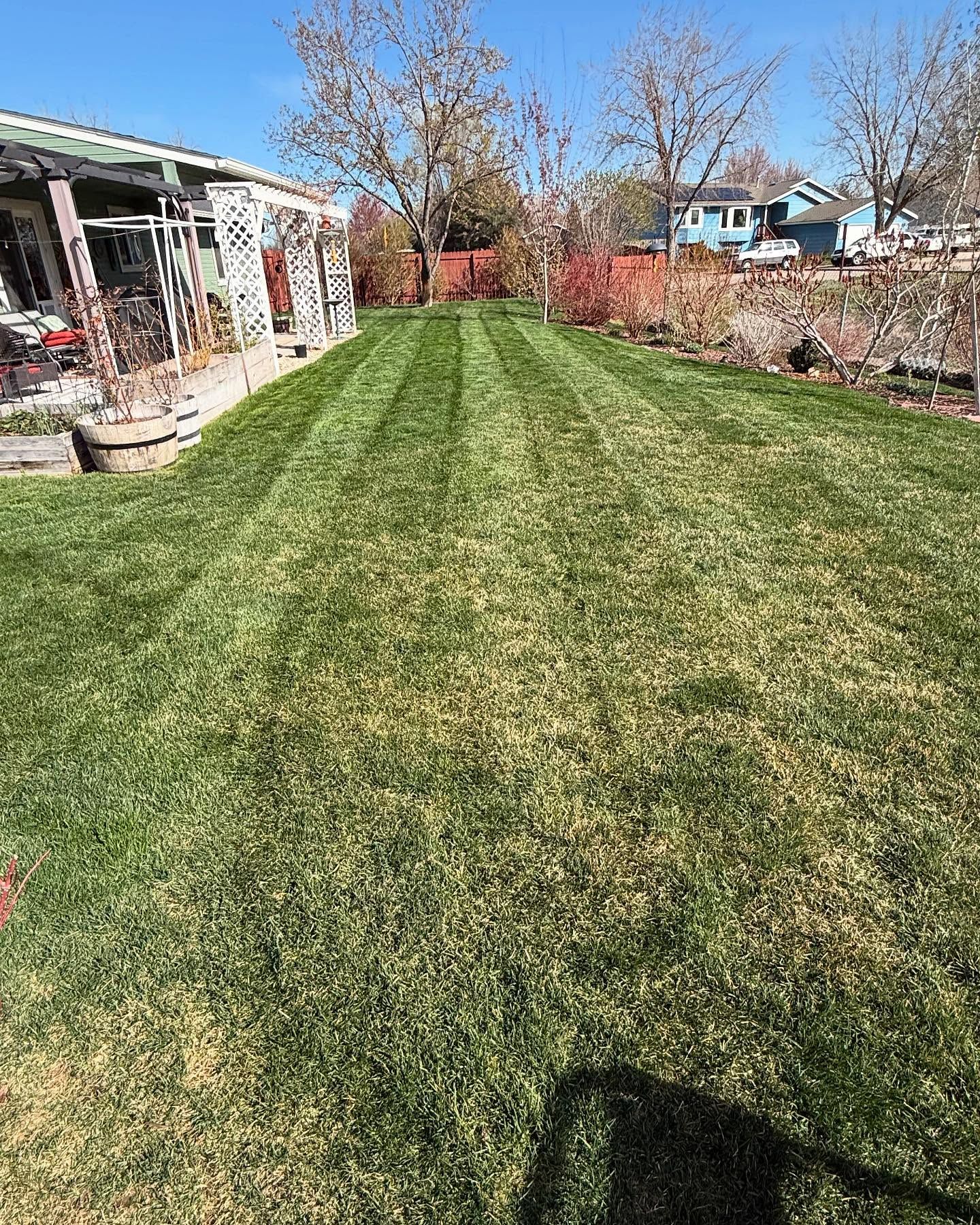 Wide backyard lawn with fresh green grass, bordered by a house and garden on a sunny day