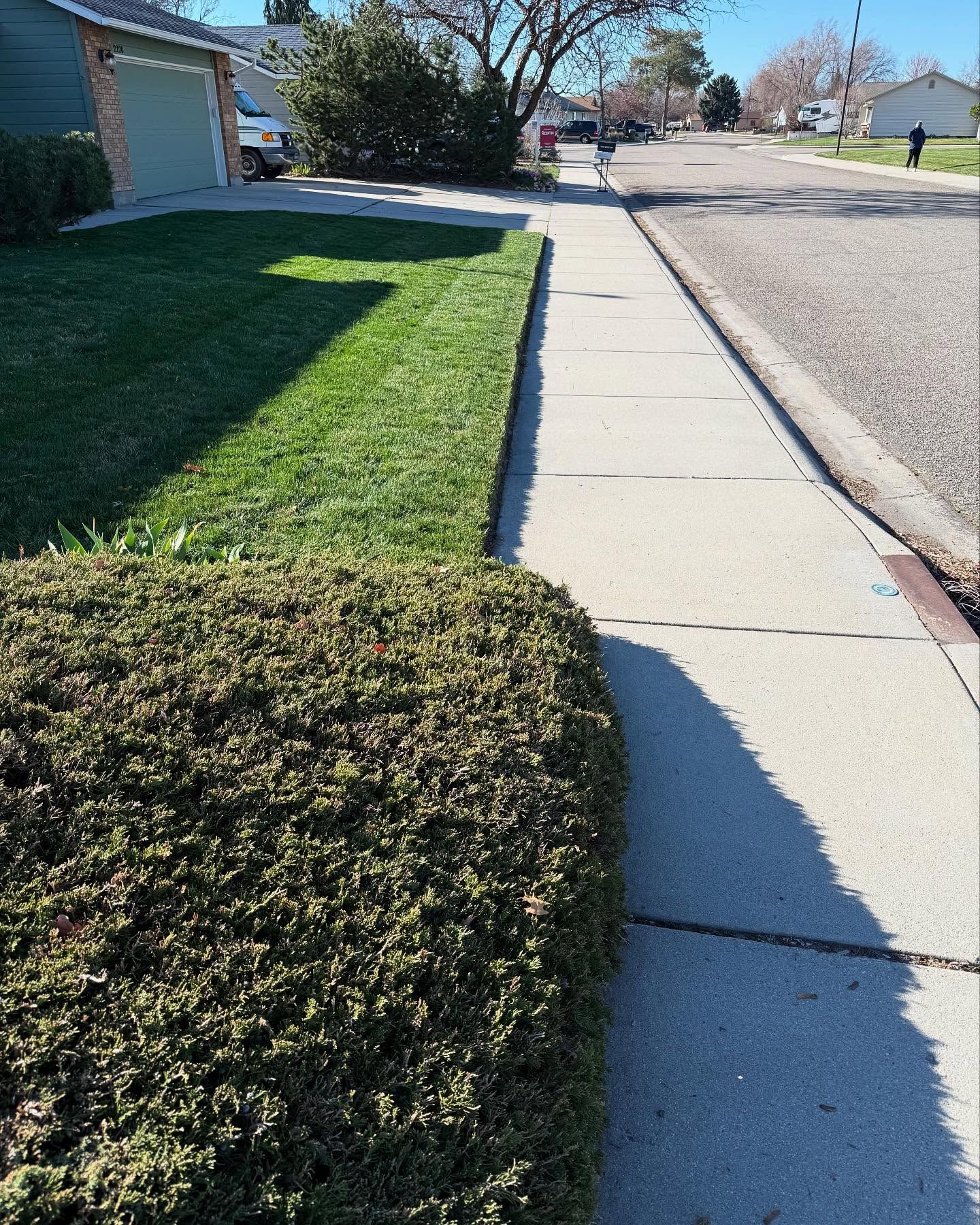 Suburban sidewalk beside a lawn, hedge, and street on a sunny day