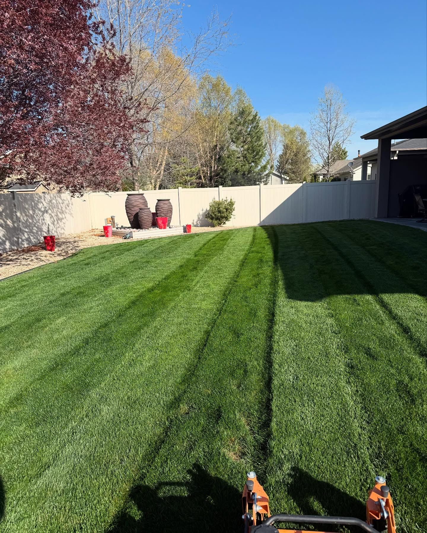 Backyard lawn with long shadows, trees, and a patio on a sunny day