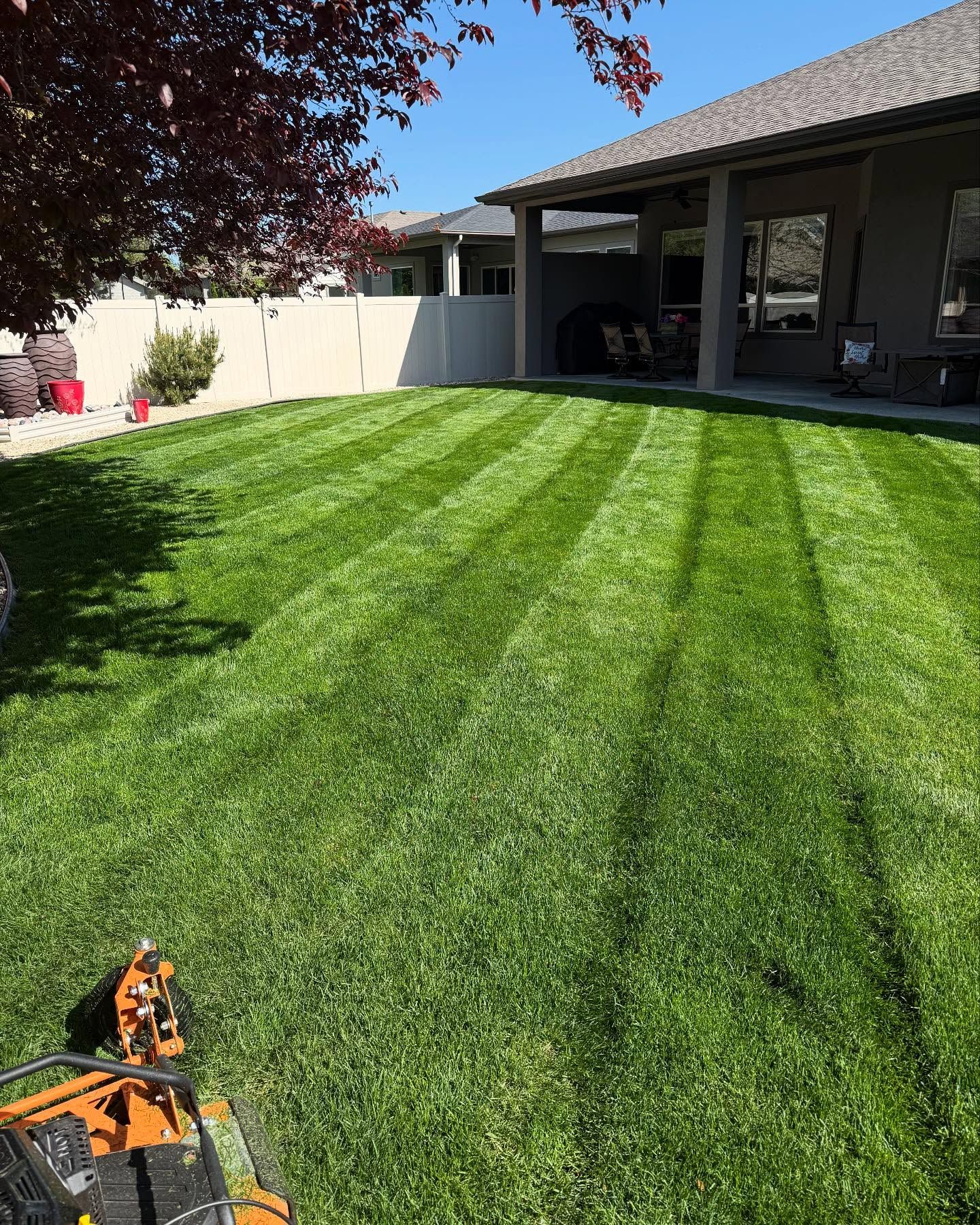 Freshly mowed striped backyard lawn beside a covered patio and fence, with a lawn mower in the foreground