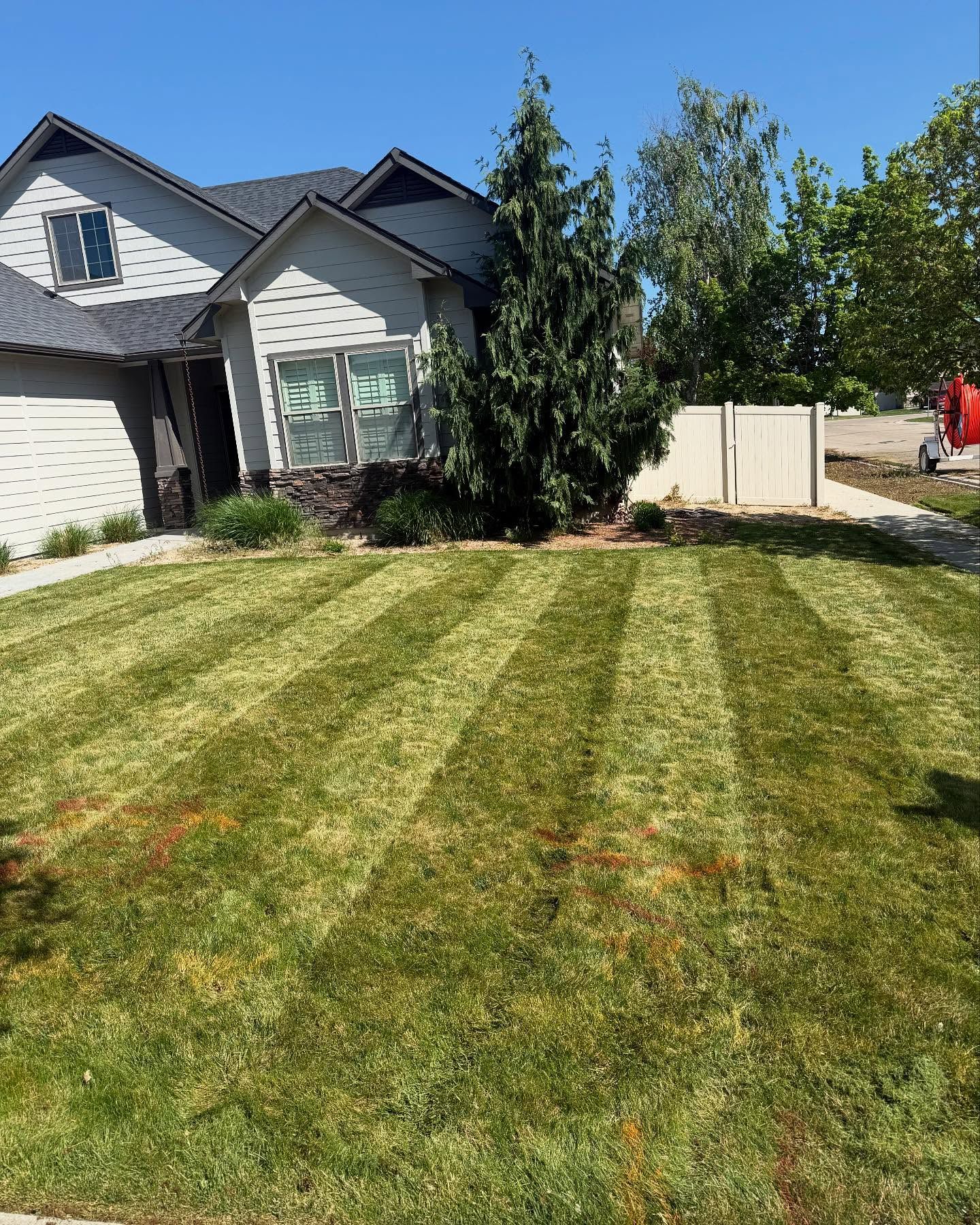 Freshly mowed striped lawn in front of a house with trees and a blue sky
