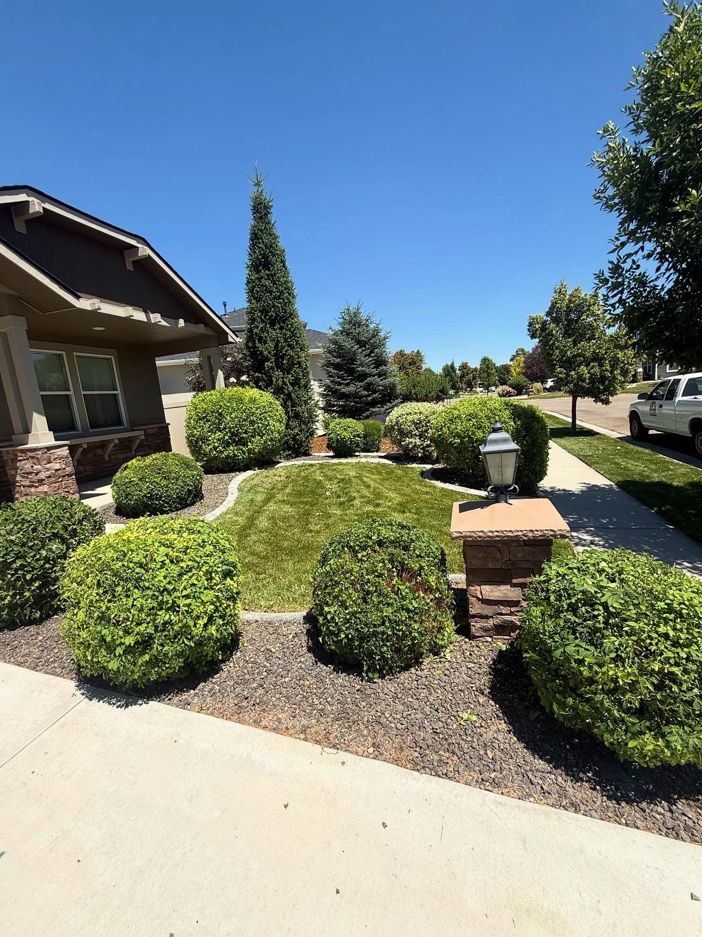 Landscaped front yard with trimmed green shrubs, a walkway, and a house under a clear blue sky