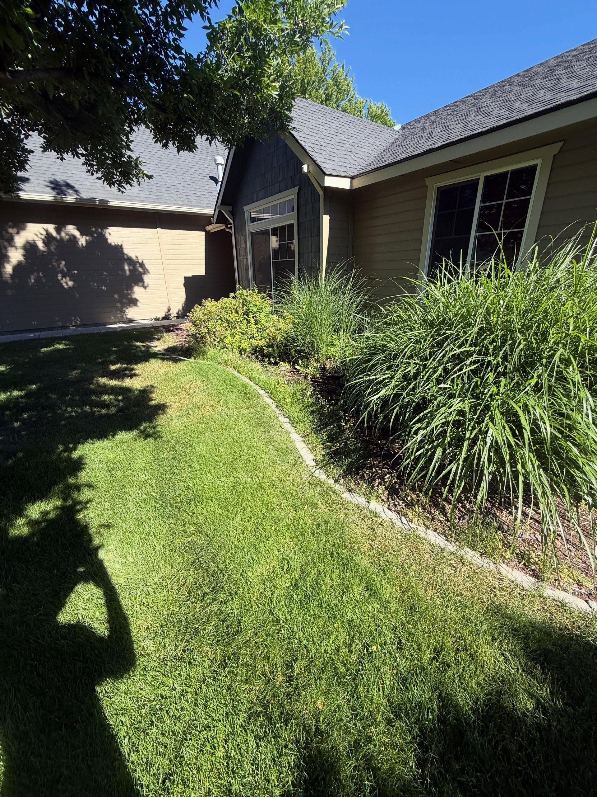 Suburban house exterior with front lawn, garage, and overgrown shrubs along the walkway