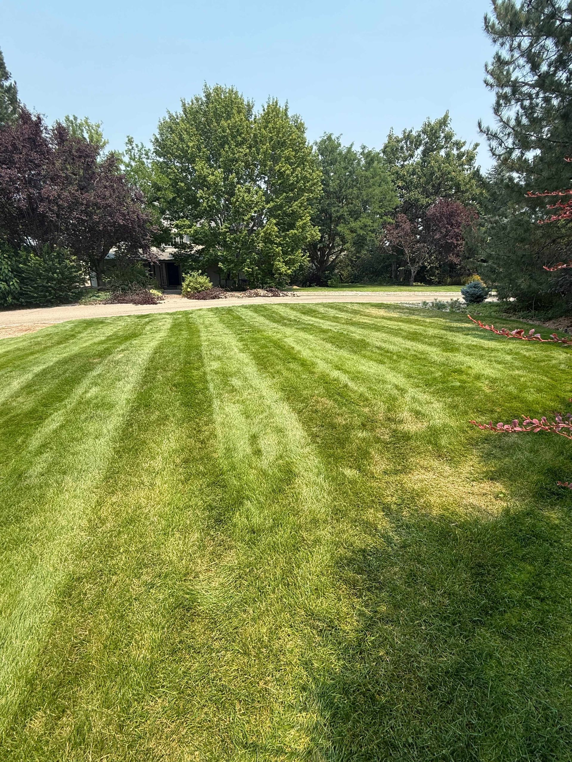 Freshly striped lawn with a red Ferris mower in the foreground and a blue sky overhead