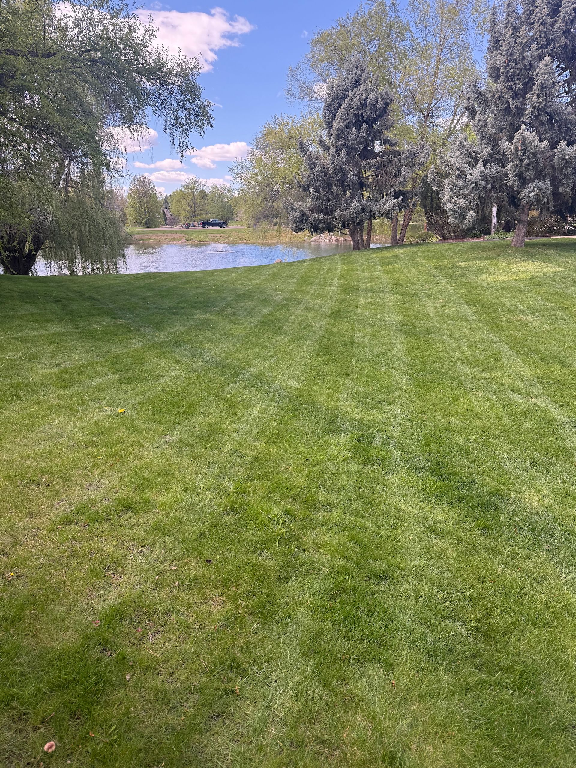 Grassy lawn leading to a calm lake, framed by trees under a partly cloudy sky