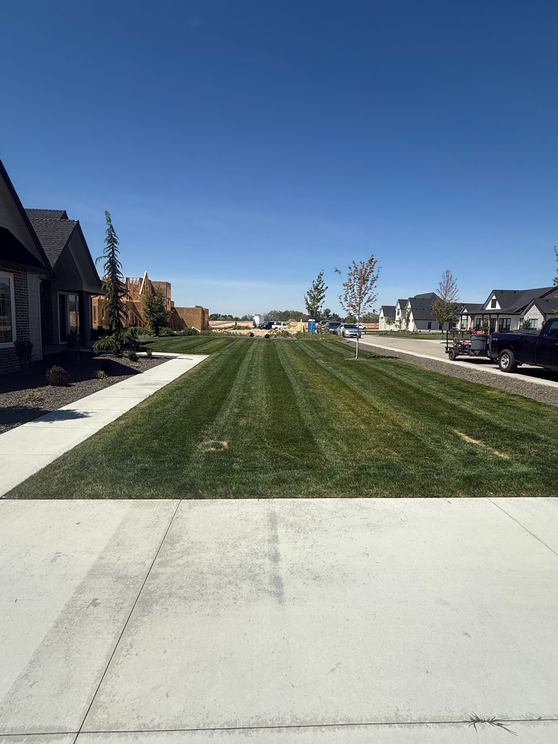 Suburban street with green median, sidewalks, houses, and a blue sky