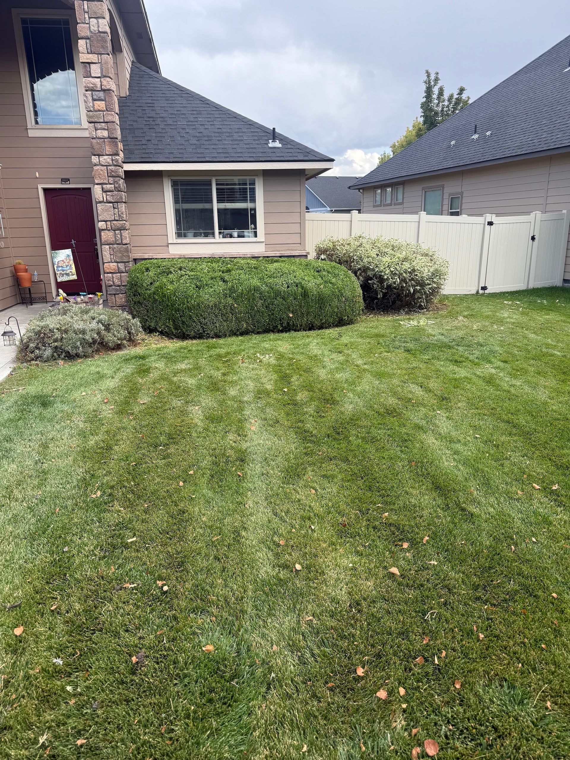 Front yard lawn with shrubs, a brick house, and a white fence beside a driveway
