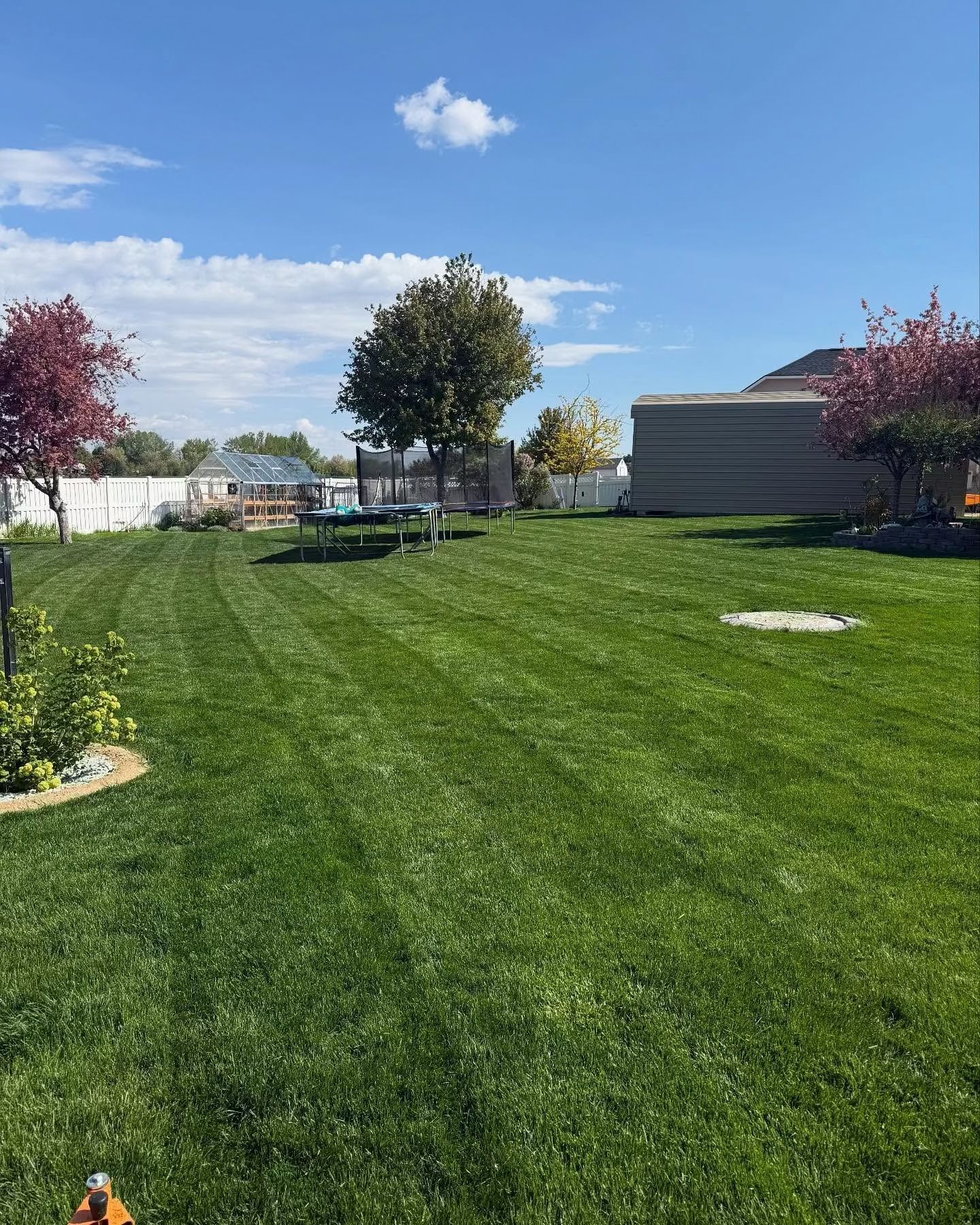 Backyard lawn with trees, a trampoline, and a gray shed under a blue sky