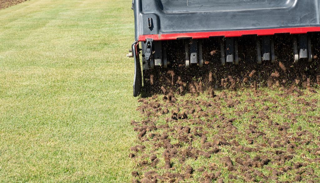 Lawn mower cutting grass, leaving a strip of brown, freshly trimmed lawn beside green grass