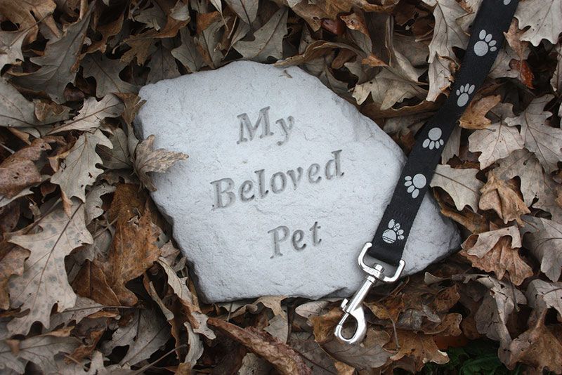 A Stone With the Words My Beloved Pet on It — Palms Vets–Hermit Park in Hermit Park, QLD