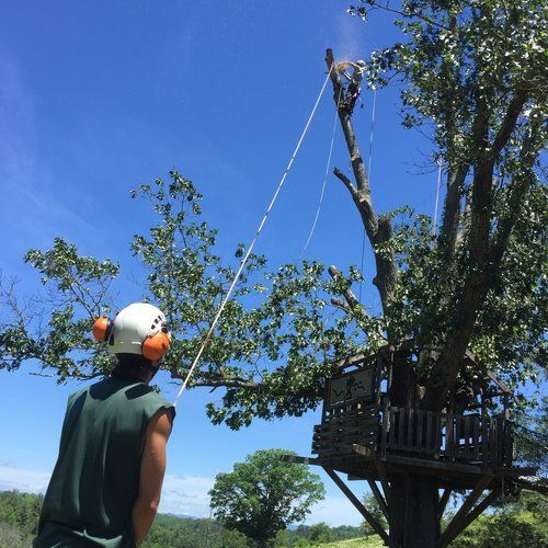 A man wearing a helmet is standing in front of a tree house.
